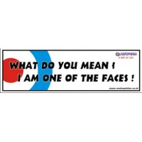 What do you mean?, I am one of the faces Window Cling